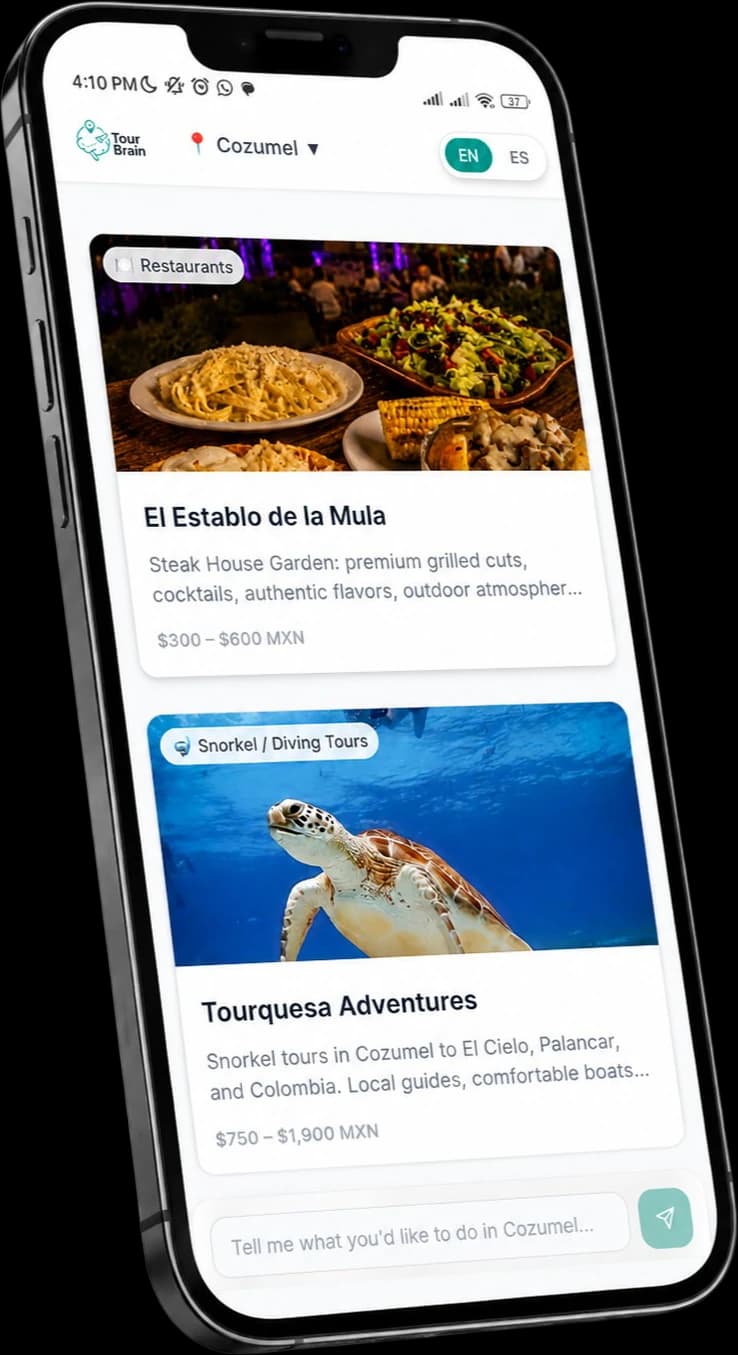 TourBrain, guía de negocios y tours de Cozumel con asistente en el chat, vista en un celular